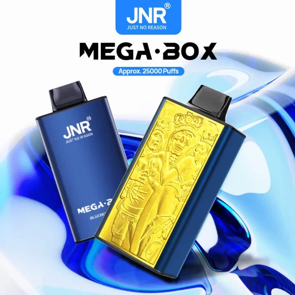 JNR Mega Box 25000 puffs Disposable Vape