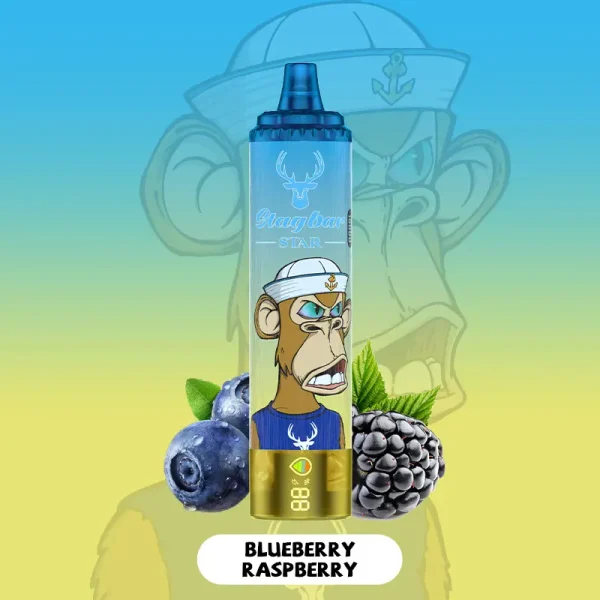 STAG BAR Star 15K Puffs Double Vape BLUEBERRY RASPBERRY