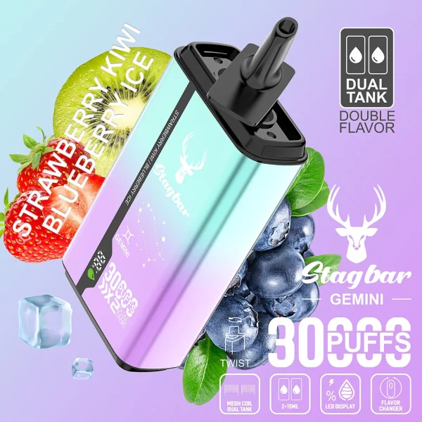 STAG BAR Gemini 30000 Puffs Double Vape