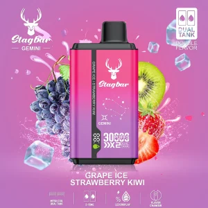 STAG BAR Gemini 30000 Puffs Double Vape