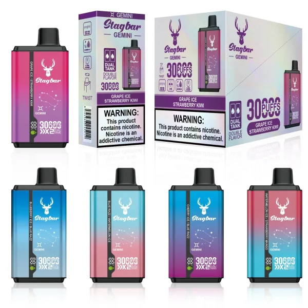 STAG BAR Gemini 30000 Puffs Double Vape