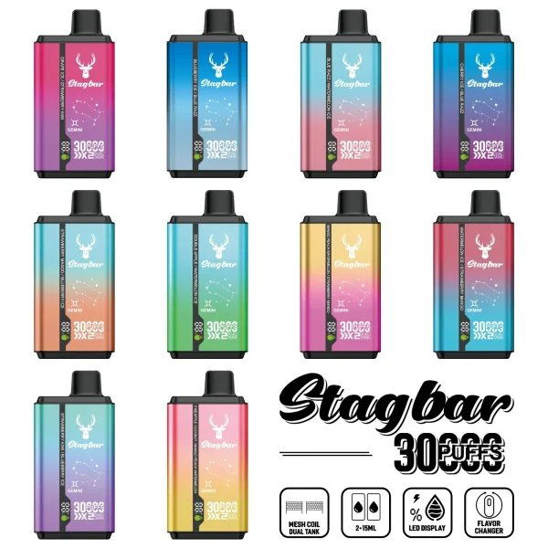 STAG BAR Gemini 30000 Puffs Double Vape