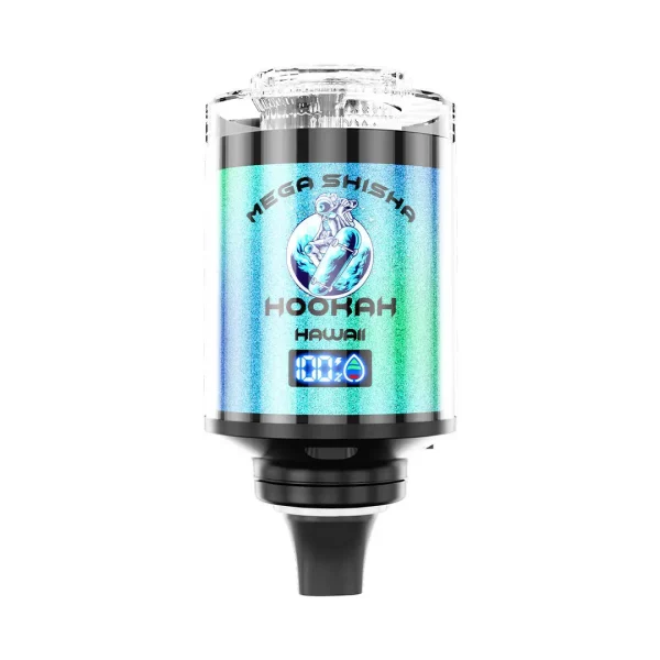 JNR Mega Shisha Hookah 100000 100K Puffs Vape Products