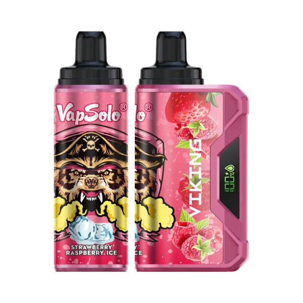 Vapsolo Viking 12000 puffs Disposable Vape ETRAWBERRY RASPBERRY ICE
