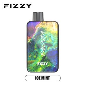 Fizzy Pandora 12000 Puffs Disposable-Vape ICE MINT