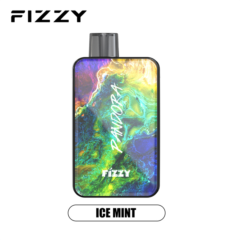 Fizzy Pandora 12000 Puffs Disposable-Vape ICE MINT