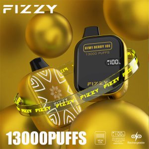 Fizzy Boom 13000 Puffs Disposable Vape KIWI BERRY ICE