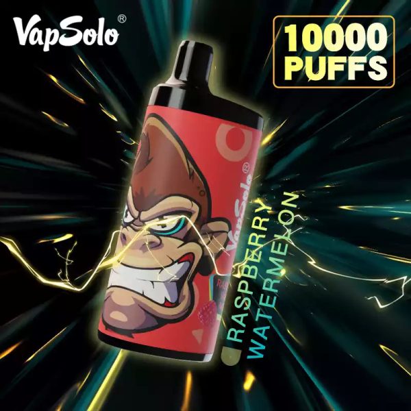 Vapsolo King 10000 Puffs Disposable Vape RASPBERRY WATERMELON