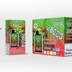 Bang 28000 Puffs Adjustable Ice Disposable Vape Products