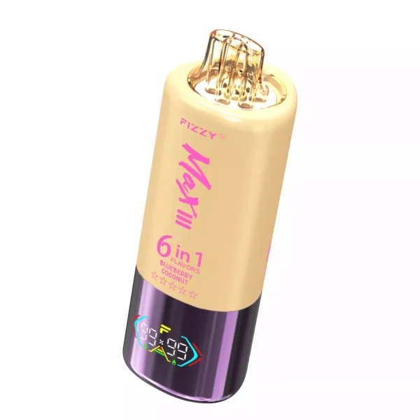 FIZZY MAX III 60000 Puff Disposable Vape Product Taste