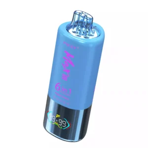 FIZZY MAX III 60000 Puff Disposable Vape Product Taste1