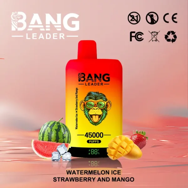 Bang Leader 45000 45K Puffs Dual Flavor Vape