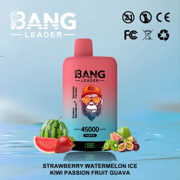 Bang Leader 45000 45K Puffs Dual Flavor Vape