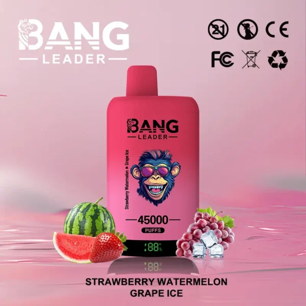 Bang Leader 45000 45K Puffs Dual Flavor Vape