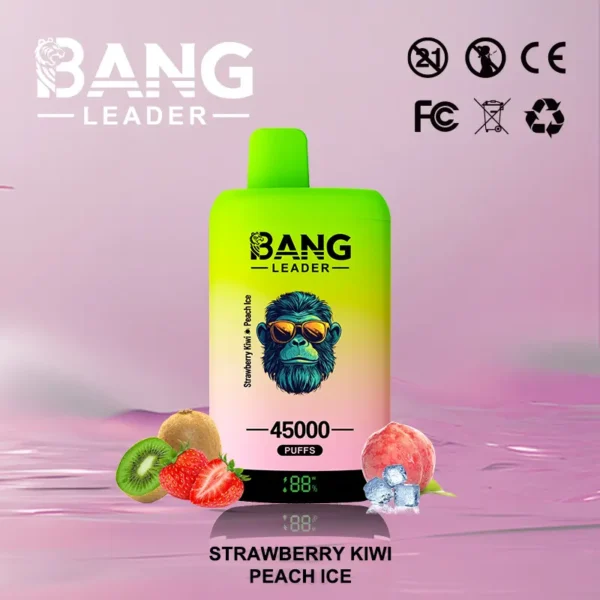 Bang Leader 45000 45K Puffs Dual Flavor Vape