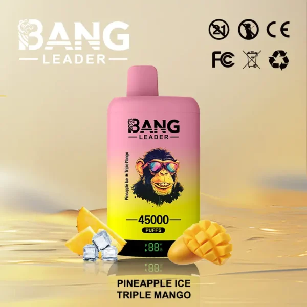 Bang Leader 45000 45K Puffs Dual Flavor Vape