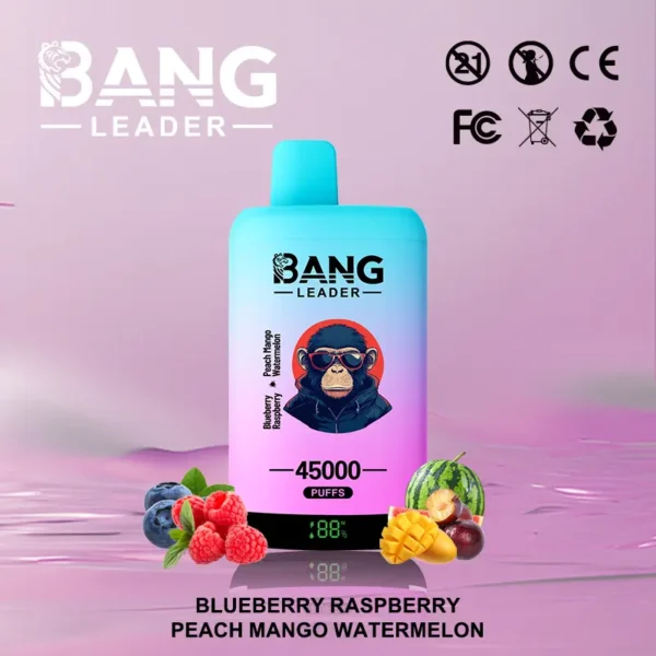 Bang Leader 45000 45K Puffs Dual Flavor Vape